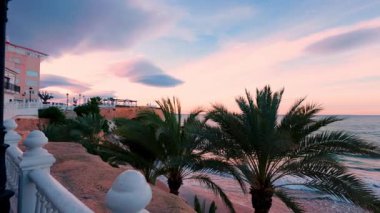 İspanya 'daki benidorm kıyı şeridinin panoramik manzarası, Akdeniz üzerinde canlı günbatımını gösteriyor, kumlu sahil, nazik dalgalar, ve palmiye ağaçlarıyla ikonik gökyüzü