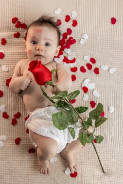 Kırmızı ve beyaz kalp konfetisiyle çevrili yumuşak bej bir battaniyenin üzerinde uzanmış tatlı bir aşk ve sevgililer günü konsepti için yumuşak ruj izi gösteren kırmızı bir gül tutan tatlı bir bebek.