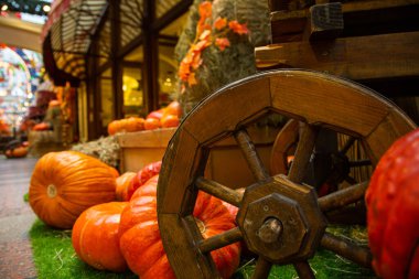 bir fotoğraf için dekor olarak balkabakları