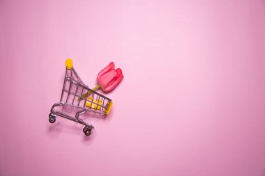 Bahar kompozisyonu. Zarif sarı laleler arka planda