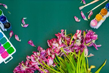 Boş kağıt ve renkli kalemlerle suluboya laleler.