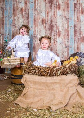 Şirin kızlar gerçek tavşan ve ördekle oynarlar.