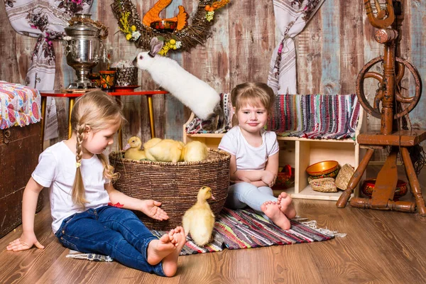 Счастливые маленькие девочки играют с милыми пушистыми пасхальными утятами Стоковая Картинка