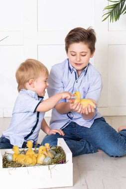 Şirin çocuklar, erkek kardeşler, ördeklerle oynuyorlar.