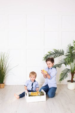 Şirin çocuklar, erkek kardeşler, ördeklerle oynuyorlar.