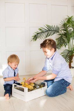 Şirin çocuklar, erkek kardeşler, ördeklerle oynuyorlar.