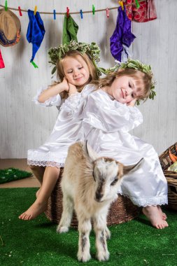 Çiftlik arazisinde keçilerle oynayan küçük kız çocukları