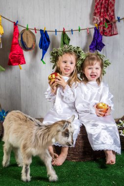 Çiftlik arazisinde keçilerle oynayan küçük kız çocukları