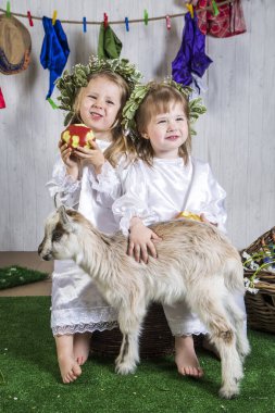 Çiftlik arazisinde keçilerle oynayan küçük kız çocukları