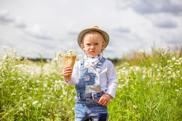 Portret van een schattige baby met bloemen in kamilleveld — Stockfoto