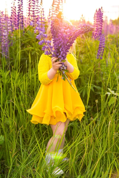 Portret van een meisje in een bloeiend veld in de zon bij zonsondergang — Stockfoto