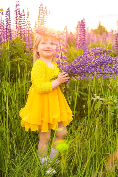 Portret van een meisje in een bloeiend veld in de zon bij zonsondergang — Stockfoto