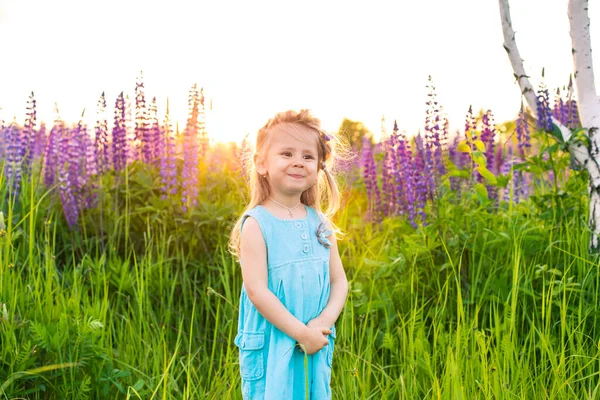 Portret van een meisje in een bloeiend veld in de zon bij zonsondergang — Stockfoto