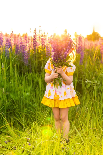 Portret van een meisje in een bloeiend veld in de zon bij zonsondergang — Stockfoto