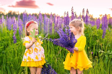Gün batımında güneşin altında çiçek açan bir tarlada bir kızın portresi.