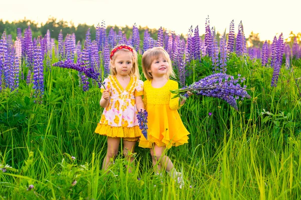 Portret van een meisje in een bloeiend veld in de zon bij zonsondergang — Stockfoto