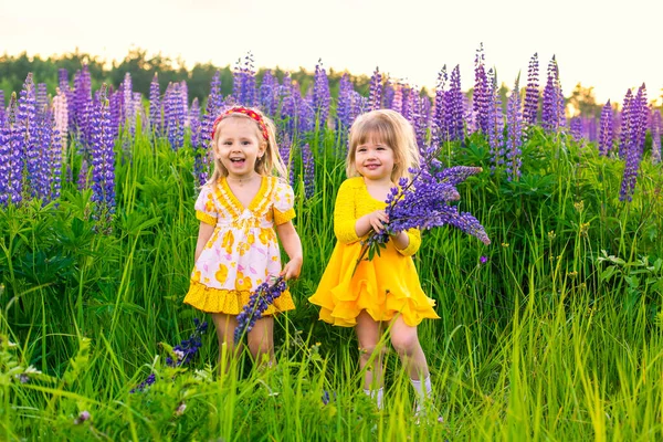 Portretul unei fete într-un câmp înflorit în soare la apusul soarelui Fotografie de stoc