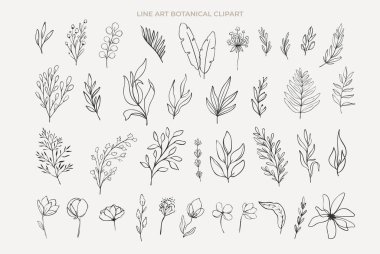 Çizgi çizgileri, çiçek desenleri, soyut çiçekler ve dallar. Arka planda siyah çizgi, vektör illüstrasyonu, yaz mevsimleri kır çiçekleri, bahçe çiçekleri.