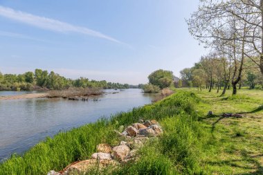 Yunanistan 'ın Evros kentindeki Kastanies köyü, Yunanistan sınırına yakın Ardas Nehri, doğal güzelliğin manzarası.