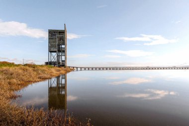 Dedeağaç ve Türkiye sınırı yakınlarındaki Evros Deltası Ulusal Parkı 'nın panoramik manzarası, Dadia ormanı ve korunan sulak arazi, bulutlu gökyüzü.
