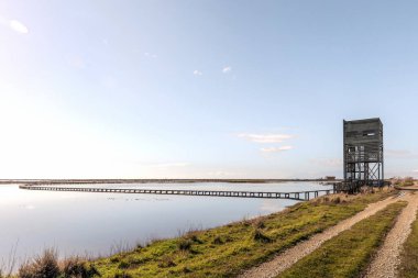 Dedeağaç ve Türkiye sınırı yakınlarındaki Evros Deltası Ulusal Parkı 'nın panoramik manzarası, Dadia ormanı ve korunan sulak arazi, bulutlu gökyüzü.