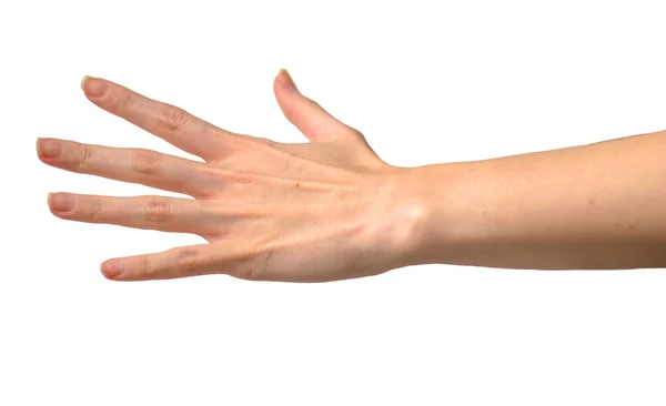 Woman hand on white background — Stock Photo, Image