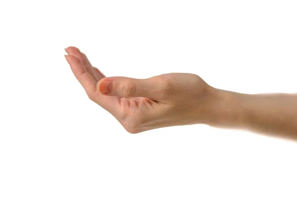 Woman hand on white background — Stock Photo, Image