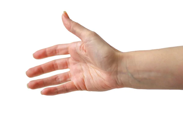 Mano de mujer sobre fondo blanco — Foto de Stock