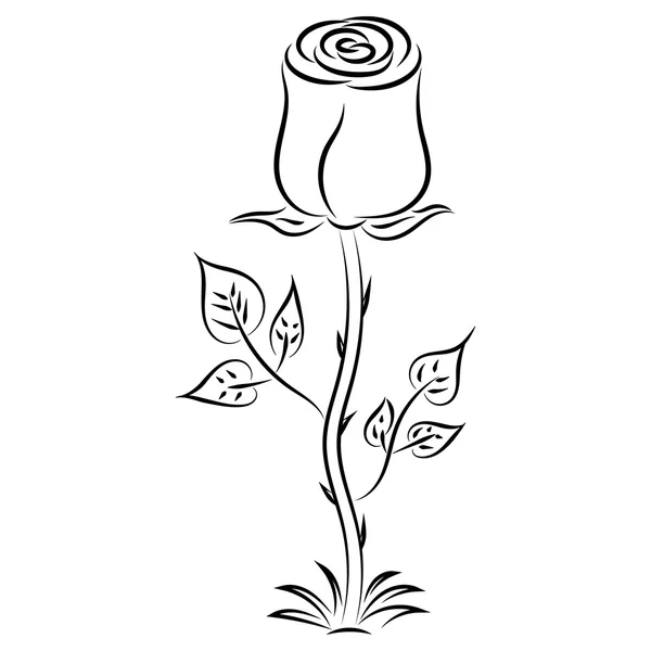 Doodle elle çizilmiş gül