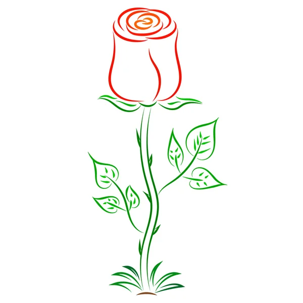 Doodle színes absztrakt vörös rózsa — Stock Vector