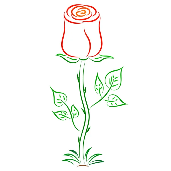 Doodle renk soyut kırmızı gül