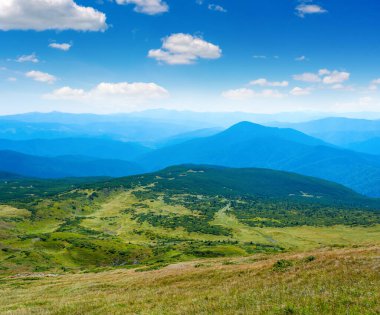 Karpat dağlarında yaz günü, güzel yeşil çayırlar ve tepelerin fotoğrafı.