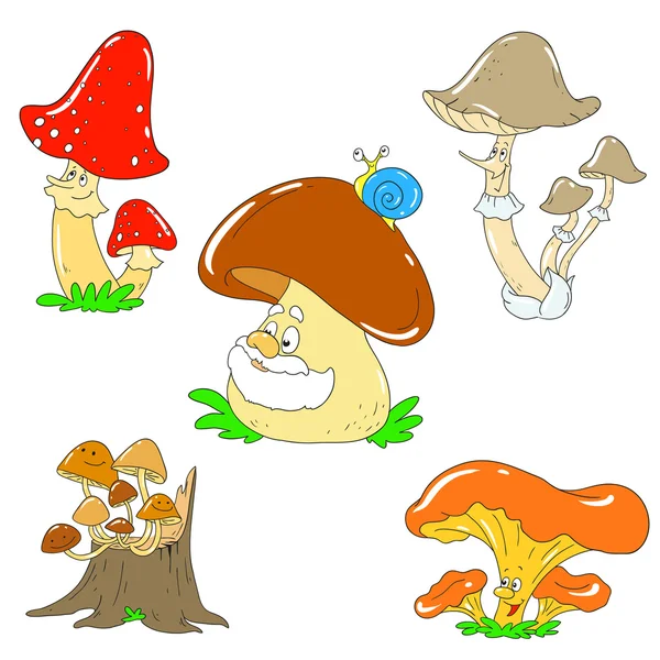 Komik mantar topluluğu. Vektör mantar karakterler.