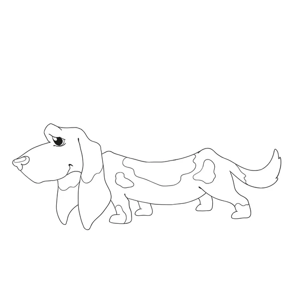 かわいい犬のキャラクター。漫画のバセット ・ ハウンド犬の塗り絵の — ストックベクタ