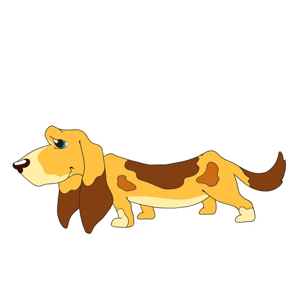 Симпатичный пес. Cartoon Dog Basset Hound . — стоковый вектор