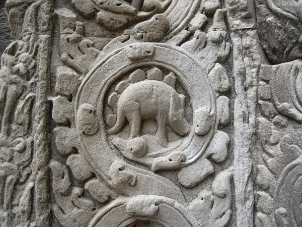A relief of dinosaur image at Ta Prohm — Stock Photo, Image
