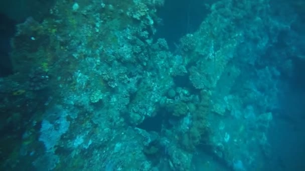 Een bezoek aan een schipbreuk door duiken in Tulamben beach, Bali, Indonesië — Stockvideo