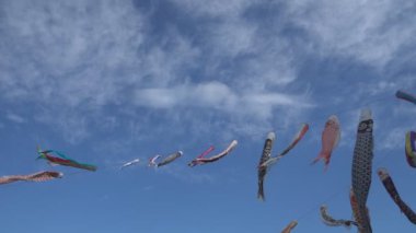 sazan şeklindeki flamalar 'koi-nobori' Japonya'nın Çocuk Bayramı, 5 Mayıs kutlamak için aradım