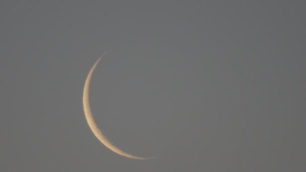 Mondaufgang mit echtem Vogel-Tweet bei Tagesanbruch (aufgenommen um 4: 20 Uhr, 5. Mai 2016)) — Stockvideo