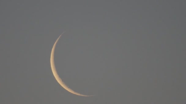 Ascendente luna magra con vero uccello tweet al tramonto (registrato alle 4: 20 AM, 5 maggio 2016 ) — Video Stock