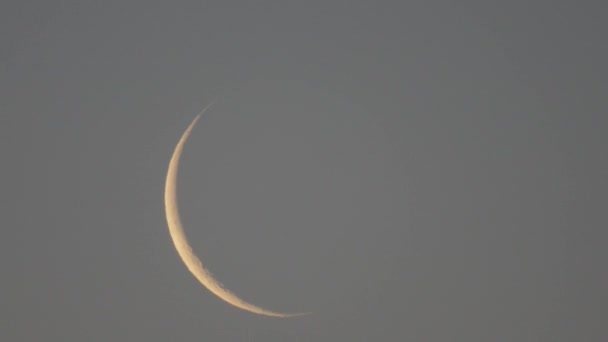 Lune maigre montante avec un vrai tweet d'oiseau au lever du jour (enregistré à 4h20, le 5 mai 2016 ) — Video