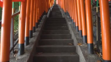 Torii(s) Hie Tapınak, Akasaka, Tokyo, kaydedilen 13, Mayıs, 2016