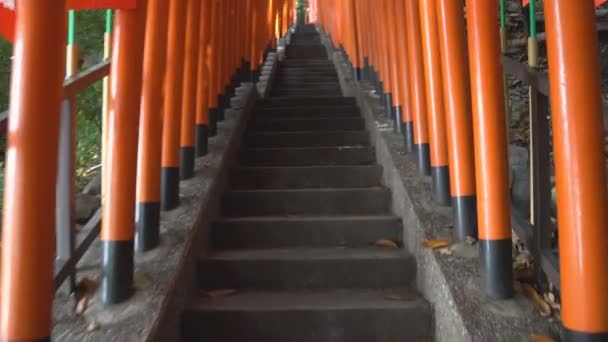 Torii (s) en el Santuario Hie, Akasaka, Tokio, grabado el 13 de mayo de 2016 — Vídeos de Stock