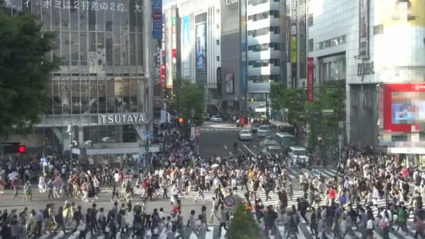 Shibuya Crossing, Tóquio, Japão, gravado em 15 de maio de 2016 — Vídeo de Stock