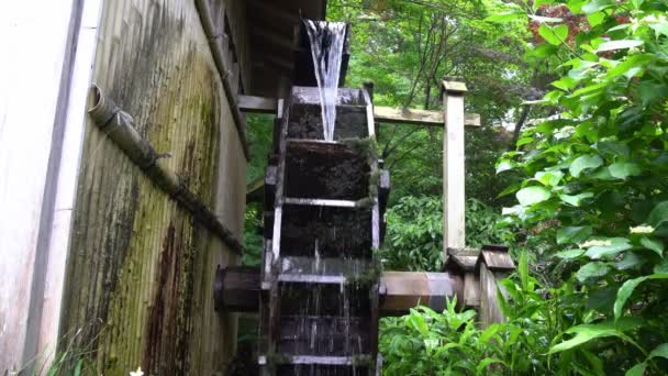 Watermolen opgenomen om 10u op 8 juni, 2016 (met operationele geluid) — Stockvideo