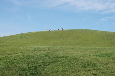 tepenin güneşli sabahı