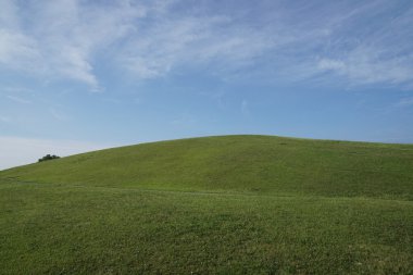 tepenin güneşli sabahı