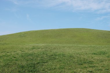tepenin güneşli sabahı