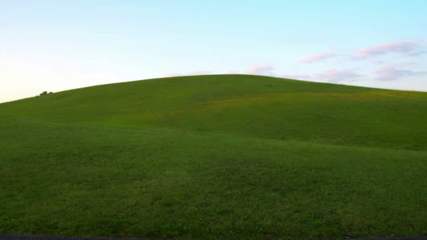 Colline à l'aube avec tweet d'oiseaux — Video