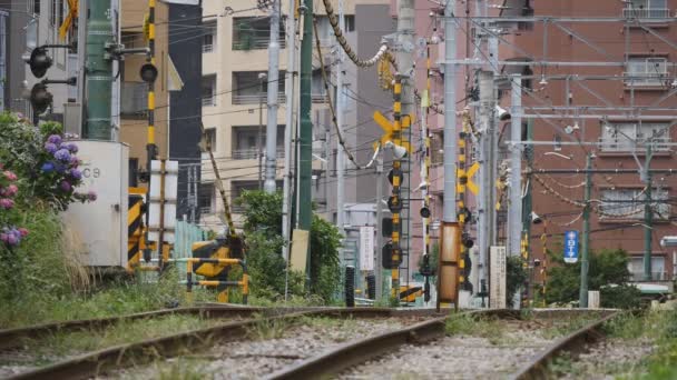 Железнодорожный переход ворота открываются и закрываются систематически: Toei Streetcar (Тоден) Линия Аракава вблизи станции Мукохара записана 14 июня 2016 года — стоковое видео